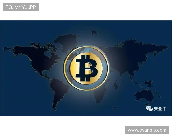 币游平台网页版登录安全保障措施全面升级,保障用户账户资金安全与个人信息隐私保护措施介绍